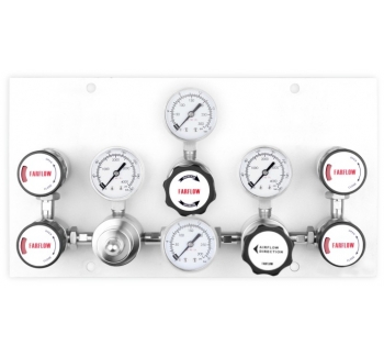 P204 Series Dual-stage Semi-automatic Specialty Gas Control Panel