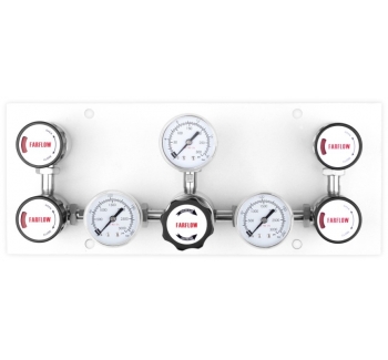 P202 Series Dual-siled Specialty Gas Control Panel