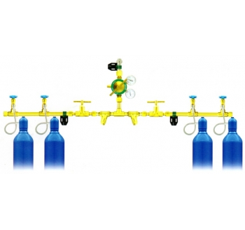 832M BILATERAL TYPE MANIFOLDS